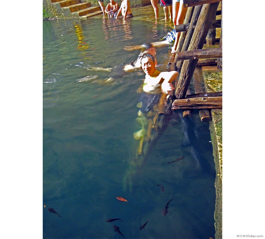 DSC03971w