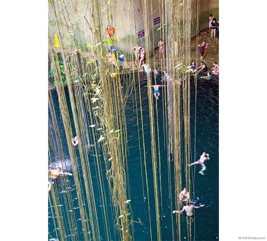 DSC_2537w