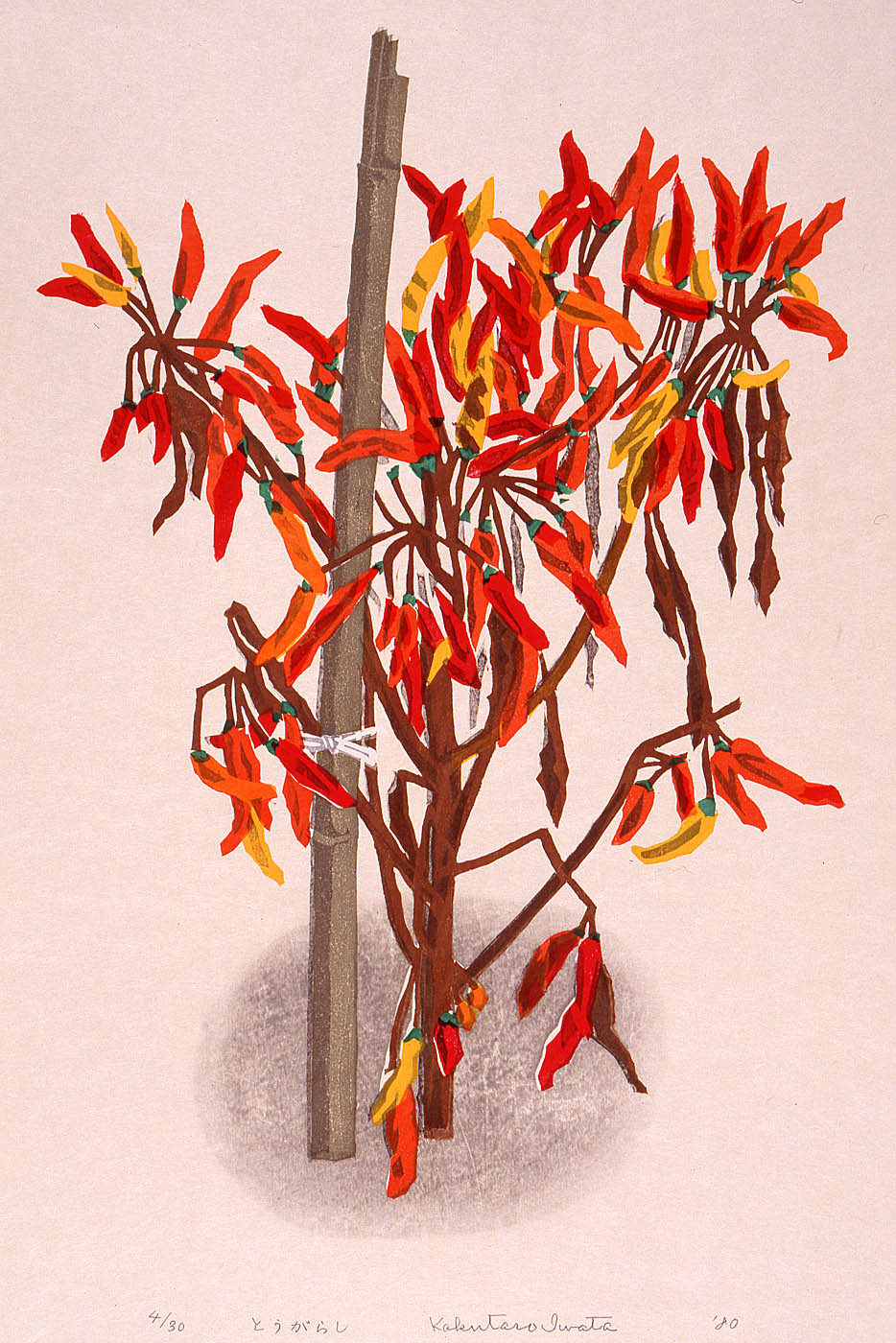 安心 保証 (49.Z160)掛軸 奥村土牛薔薇のつぼみ図 絵画 木版画